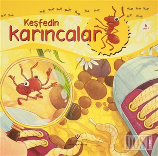 Keşfedin - Karıncalar